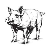 Pig farm hand drawn sketch Design illustration isolated on white vector