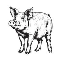 Pig farm hand drawn sketch Design illustration isolated on white vector