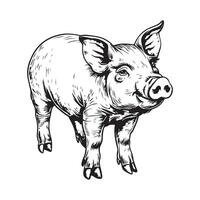 Pig farm hand drawn sketch Design illustration isolated on white vector