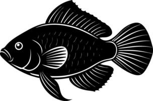 gourami fish silhouette illustration Design on a white background vector