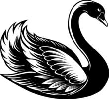 swan silhouette illustration Design on a white background vector