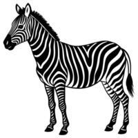 zebra silhouette illustration Design on a white background vector