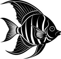 angelfish silhouette illustration Design on a white background vector