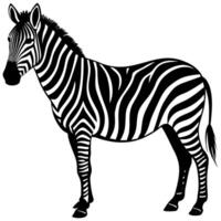 zebra silhouette illustration Design on a white background vector