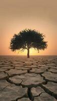 Solitary tree on parched ground under sun, creating desolate and drought stricken landscape Vertical Mobile Wallpaper photo
