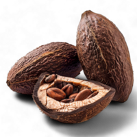 Generated Ai Cocoa beans and nuts a delicious assortment of cocoa beans and nuts, perfect for a healthy snack or baking png