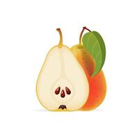 Sliced ripe pear with green leaf isolated on white backrgound illustration vector