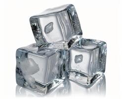 Four Clear Ice Cubes On White Background photo