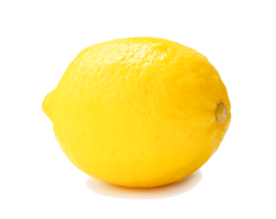 Side view of fresh yellow lemon fruit isolated with clipping path and shadow in file format png