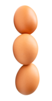 Front view of brown chicken eggs standing in stack isolated with clipping path in file format png