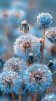 Dandelion Standing Tall in Field photo