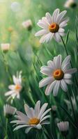Flowers Scattered in Green Grass photo