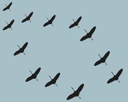 A flock of flying birds in the key, to warmer climes. Free birds. illustration. vector