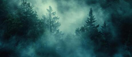 Misty Morning In A Dense Pine Forest photo