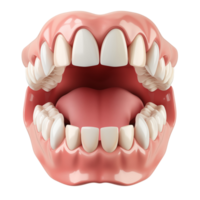 3D model of open mouth with teeth, teeth isolated on background png