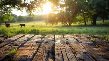 Wooden Table in Field With Cows photo