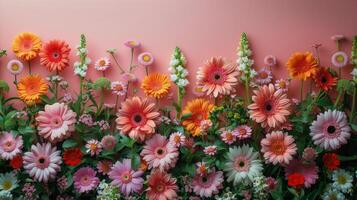 Colorful Flowers on Pink Wall photo
