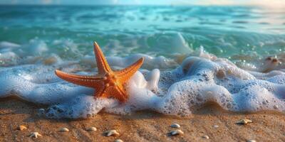 Starfish Resting on Sandy Beach by Ocean photo