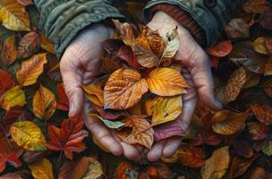Hands Holding Colorful Autumn Leaves in Forest photo