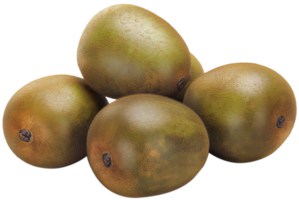 fresh group of kiwi Isolated on a Transparent Background png