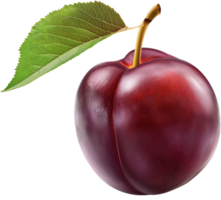 A fresh Plum with a leaf Isolated on a Transparent Background png
