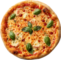 A delicious Margherita Pizza isolated on a transparent background png