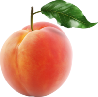 A fresh peach with a leaf isolated on a transparent background png