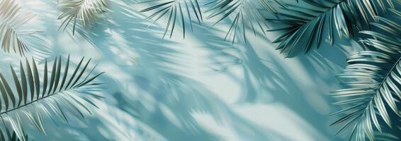 Palm Fronds Casting Shadows on a Blue Background in Sunlight photo