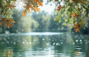 Oak Leaves Reflected In Water On A Sunny Day photo