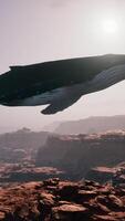 A large whale is floating in the air video