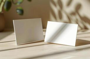 White Square Boards With Green Plant and Sunlight Shadows photo