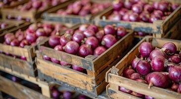 Red Onions in Wooden Crates at a Produce Market photo