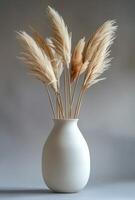 Pampas Grass Arrangement in White Vase Against Grey Wall photo