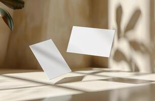 White Square Boards With Green Plant and Sunlight Shadows photo