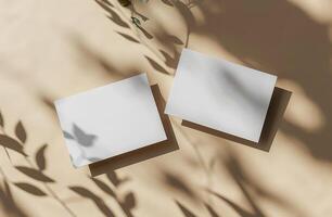 White Square Boards With Green Plant and Sunlight Shadows photo