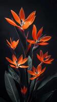 Vibrant Orange Bird of Paradise Flowers Blooming Amidst Lush Green Foliage photo