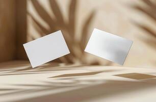 Two Blank White Cards Floating in Air With Shadows and Dried Plant photo