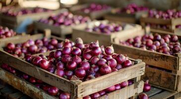 Red Onions in Wooden Crates at a Produce Market photo