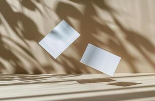 Two Blank White Cards Floating in Air With Shadows and Dried Plant photo