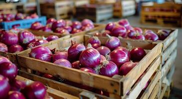 Red Onions in Wooden Crates at a Produce Market photo