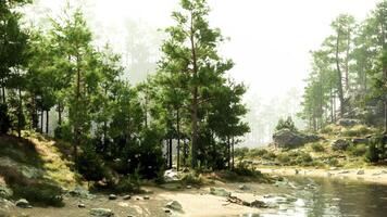 A serene landscape painting with a river flowing through a lush forest video