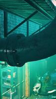 A large pipe in a building with a green light video