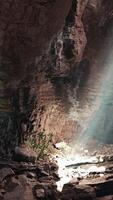 A cave with sunlight coming through the rocks video