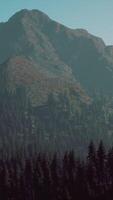 A view of a mountain range with trees in the foreground video