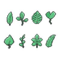leaf pixel art for dynamic digital projects and designs. vector