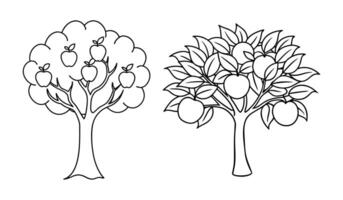 Apple and Orange Trees Elegant Line Art Representation vector
