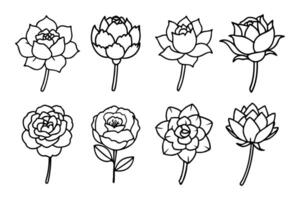 Different Types of Peony Line Art CollectionDifferent Types of Peony Line Art Collection vector