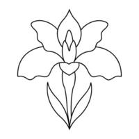 Simple Outline of an Iris for a Coloring Page vector