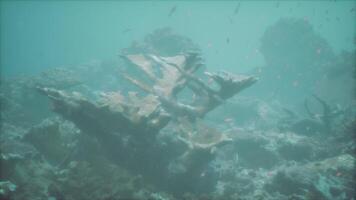An underwater view of a ship wreck in the ocean video