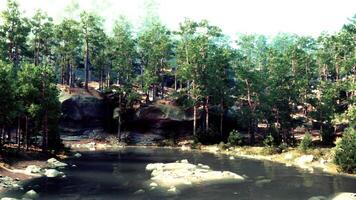 A small lake surrounded by trees and rocks video